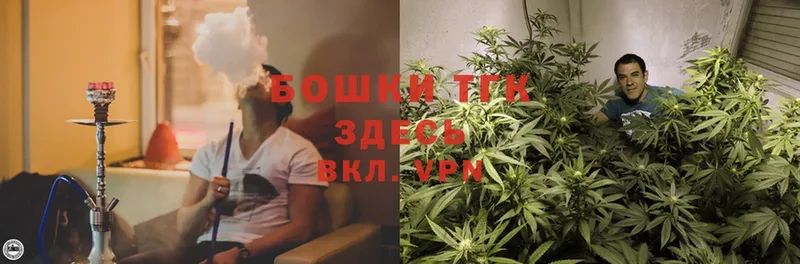 Бошки Шишки OG Kush  дарнет шоп  Куса 